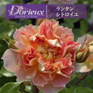 y^ VgC@6c\zA o KN h c t`[Y ~ ^VgC