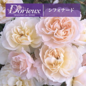 y2026N \zyVtHi[h@Vc4zA o KN h t`[Y