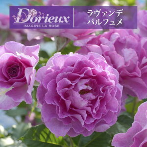 y2026N \zy@f pt@Vc4zA o KN h t`[Y @fpt ofpt