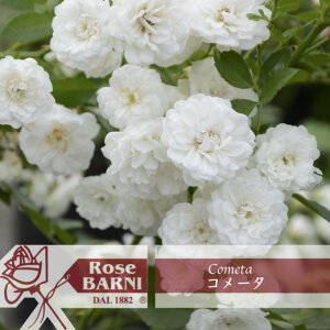 yR[^@6c\zA o KN oj C^A c ~