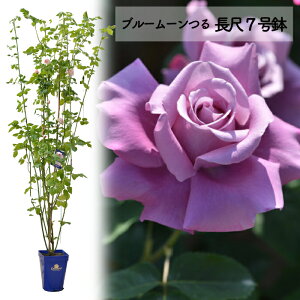 \񑗗yu[[ 钷7@czA o KN c o co 7