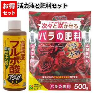 zyt{_͉tƃo̔엿ZbgzA^bNT1 A o KN t L@ fo[ Ԃ TIGeBX ͖{o