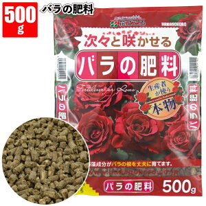 zyo̔엿500gzA o KN L@ _ fo[ Ԃ TIGeBX ͖{o