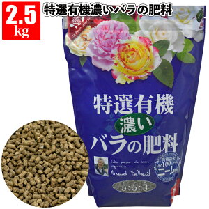 zyIL@Zo̔엿2.5kgzA o KN L@ _ fo[ Ԃ TIGeBX ͖{o