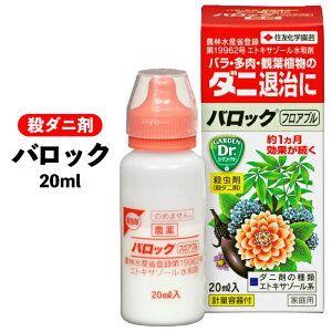 yobNtAu 20mlzo KN  Q n_j E_j  E A nA ƒ؉ K[fjO _jY | E  