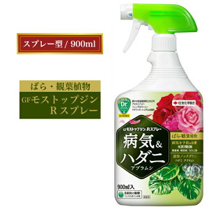 yGFXgbvWRXv[ 900mlzo KN  Q AuV n_j  EEۍ xjJ Xv[ ȒP ֗ A nA ZFw