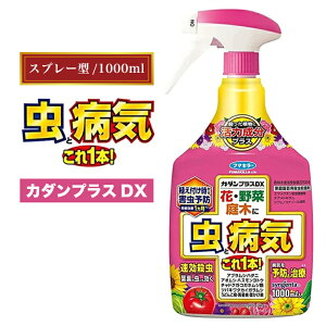 yJ_vXDX 1000mlzo KN _a a ǂ񂱕a  Q AuV n_j `Eno` RKlV  EEۍ xjJ Xv[ ȒP ֗ A nA