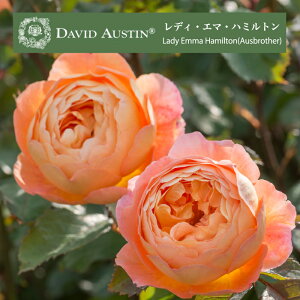 yfB G} n~g@7c\zA o KN fBG}n~g c ~ frbh I[X`