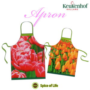 Gv 킢 ԕy`[bvEGvz Vzj ̓ v[g I_