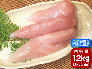 쌧Y Y { TT~ Ɩp ʂ̎ǂ {  12kg