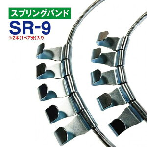 XvOoh@SR-9@1yA(2{) ^C`F[p ͂^`F[p