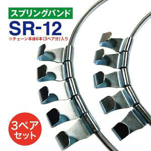 XvOoh@SR-12@3yA(6{) ^C`F[p ͂^`F[p