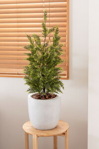 O[x[X v^[  STCY zCg  a28 27.5cm ݃J[ 