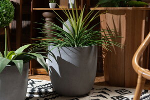 O[x[X v^[  LTCY O[ a35 34.5cm ݃J[ 