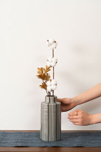 퐻 t[x[X ~`LTCY O[ XgCv ԕr 22cm hCt[ Vv a_