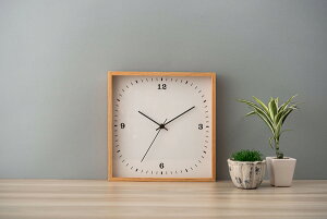 XNGA^ Ǌ|v EH[NbN 30cm É^Cv i` JWA Vv  Q