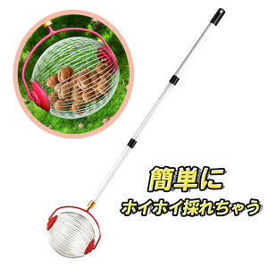 {[Elbg ʎWzC[ {[ [[ St{[ 싅 E ؂̎E STCY 