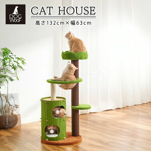 y|Cg5{! 11/4 20:00 ` 11/11 01:59܂Łz2iLbgnEX JvZt Lbg^[ W] O[