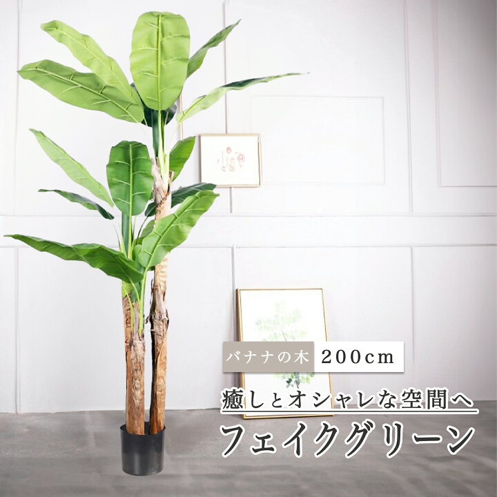 楽天市場】フェイクグリーン 観葉植物 リアル 人工観葉植物 高さ200cm 