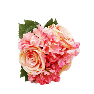 tFCNt[  KNAWTC u[P S25cm A lH sv (XvOzCg / XvOsN)