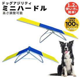 【抽選で最大100％ポイントバック実施中！5/1〜5/31まで ※要エントリー】ドッグアジリティ シーソー＆Aフレーム 2WAYタイプ 練習用 アルミ製 全長1m82cm 滑り止め素材 トレーニング 耐荷重25KG