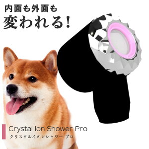 �V�����[�w�b�h�̂� �d�Y�_ �N���X�^���C�I���V�����[�v�� �Y�_�V�����[