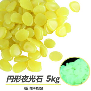  ~` ~  ANAE C~l[V ̑ 5kg 2600 u[ Jt S[h O[ sN Cgp[v zCg p[v CgO[ IW