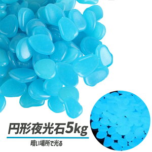  ~` ~  ANAE C~l[V ̑ 5kg 2600 u[ Jt S[h O[ sN Cgp[v zCg p[v CgO[ IW