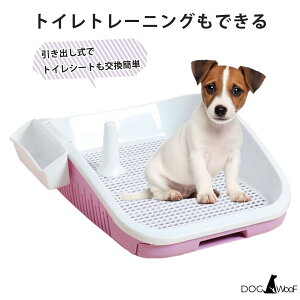  gC }[LO|[t o gCg[jO [BOXt юUh~@(sN / O[)