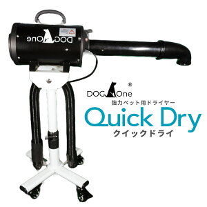 y|Cg5{! 11/1 0:00 `11/1 23:59܂ŁzhC[ Ɩp  u[ NCbNhC 啗  {Ki PSEK ybghC[ p[^Cv X^hZbg zCg ubN s