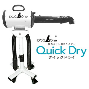 hC[ Ɩp  u[ NCbNhC 啗  {Ki PSEK ybghC[ p[^Cv X^hZbg zCg ubN sN