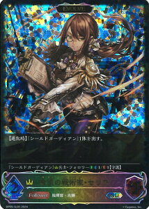 VhEo[X G{ (EVOLVE)]̐pƁEZA/]̎gҁEZA yBP09-SL05 SLz e̓dt VOJ[h