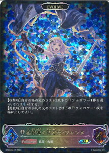 VhEo[X G{ (EVOLVE)]EWk yBP09-SL17 SLz e̓dt VOJ[h