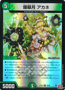 yX[p[SALEˑΏۏi|Cg10{12/11 01:59z fGE}X^[Y  AJl yDM24-EX3 36/80 Az  hfGi}CgpbN VOJ[h