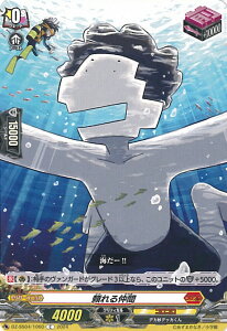 @K[h 钇 yDZ-SS04/106D Cz RRX^[gfbLpbN VOJ[h