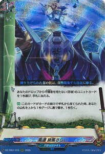 @K[h  炢 yDZ-TB01/015 RRRz t[`[J[h ofBt@Cg VOJ[h