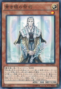 y}\I|Cg5{11/11 01F59܂Łz VY ̍Վi ySHVI-JP021 m[}z SHINING VICTORIES VOJ[h