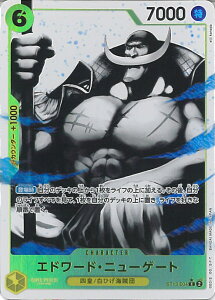 ONE PIECEJ[hQ[ Gh[hEj[Q[gipj yST13-004 Cz AeBbgfbL 3ZJ VOJ[h