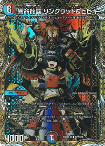 fGE}X^[Y e NEbhqrL yDM25-BD3 SP7/SP8 Az Og̏ VOJ[h