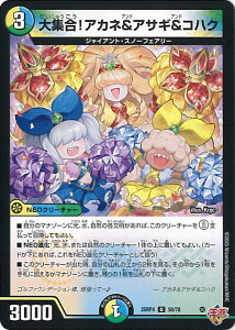 �y���������}���\���I�|�C���g5�{��1/16 01�F59�܂Łz �f���G���E�}�X�^�[�Y ��W���I�A�J�l���A�T�M���R�n�N �yDM25-RP4 50/78 �A���R�����z �I�� �V���O���J�[�h