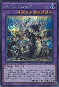 VY _[m yDBPR-JP007 V[Nbgz t@gExW[Y VOJ[h