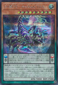 VY ߍI|Archa.TAIL yDBPR-JP023 V[Nbgz t@gExW[Y VOJ[h