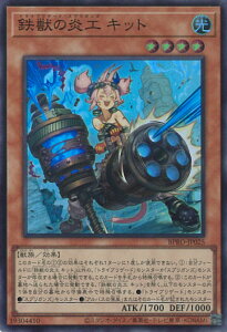 yԌIӍՁˑΏۏi|Cg5{11/16 23:59z VY Sb̉H Lbg yBPRO-JP025 X[p[z BURST PROTOCOL VOJ[h