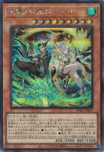 yX[p[SALEˑΏۏi|Cg10{12/11 01:59z VY Vmo_ V[i yBPRO-JP027 V[Nbgz BURST PROTOCOL VOJ[h