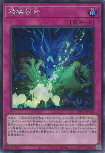 �y�����_�t���f�[���Ώۏ��i�|�C���g10�{�I7/1 23:59���z �V�Y�� �j�B�K�� �yRV01-JP053 �V�[�N���b�g�z REVOLUTION BOOSTER -�g�D�[���E�E�B�b�`�N���t�g�E�j�B- �V���O���J�[�h