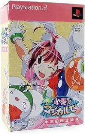 【中古】PS2 ナースウィッチ小麦ちゃん マジカルて 初回限定版 ※ソフト単品