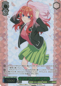 yԌIӍՁˑΏۏi|Cg5{11/16 23:59z @CXV@c NƐiސ  ܌ y5HY/WE43-13IGP IGPz v~Au[X^[ ܓ̉ԉŁ VOJ[h