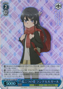 @CXV@c Z̎p hZK[ ySBY/W114-088S SRz wtu^YxV[Y VOJ[h