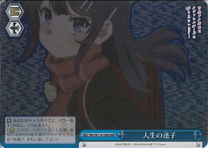 @CXV@c l̖q ySBY/W114-100R RRRz wtu^YxV[Y VOJ[h