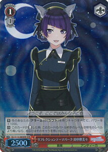 yX[p[SALEˑΏۏi|Cg10{12/11 01:59z @CXV@c tNVe[}p[N cX yISC/S110-080WIR WIRz ACh}X^[ VCj[J[Y Shine More! V